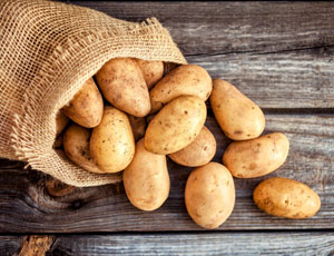 Potato Exporters