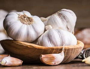 Garlic Exporters