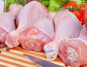 Poultry Meat Exporters