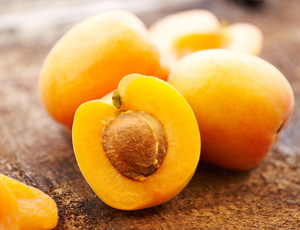 Apricot Exporters