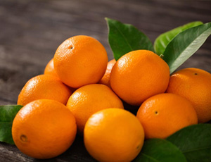 Tangerine Exporters