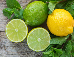 Lime Exporters
